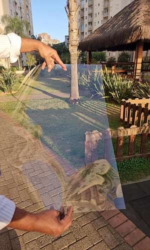 chapa pet cristal chapa pet cristal