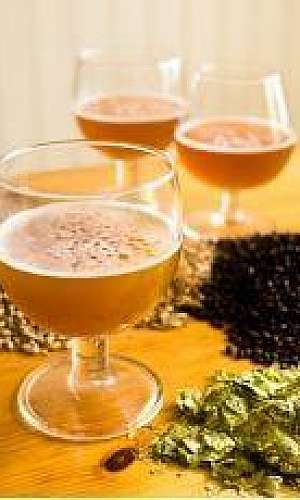 Insumos para cerveja em sp Insumos para cerveja em sp